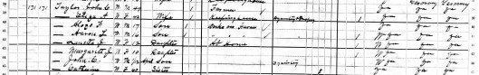As you can see, the oldest four children, including my Great-grandfather, are no longer living with their parents.  Notice that both mother and child are listed as ill at the time of the census.  I cannot be sure, but it looks like the word listed there might be dysentry - possibly dysentery.  Dropsy is also listed as an illness for the mother.  The older John's sister Catherine is living with them.  Is she there perhaps to help take care of her sick nephew and his mother?