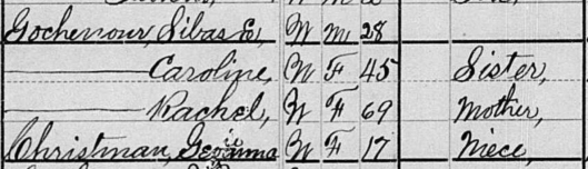 Clip 1880 US Census Gochenour